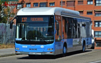 La línea 137 de autobús cambia su recorrido para parar en Ricote